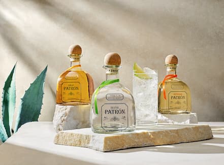 patron-1